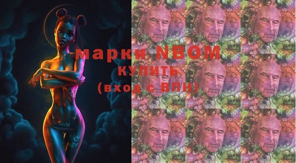 стаф Аркадак