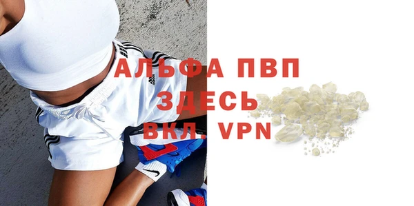 стаф Аркадак
