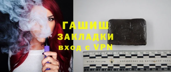 стаф Аркадак