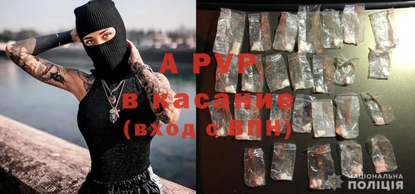 не бодяженный Арсеньев
