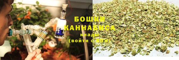 стаф Аркадак