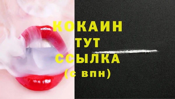 стаф Аркадак