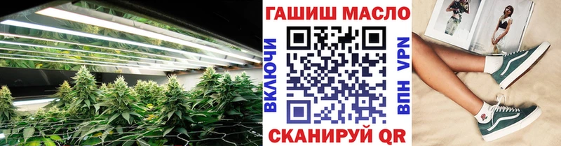 ТГК концентрат Оса